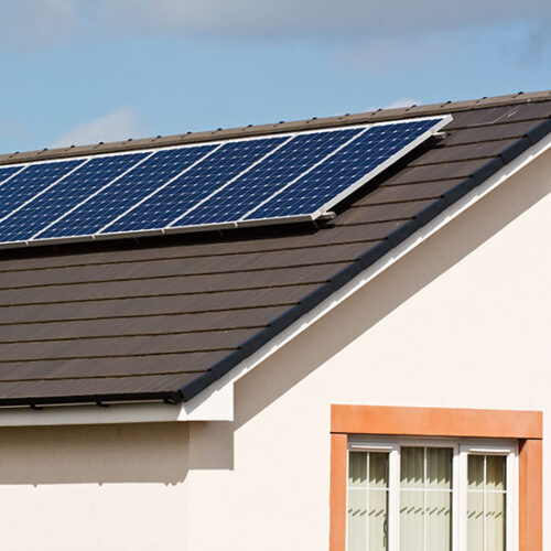 The Guerrilla Solar Movement